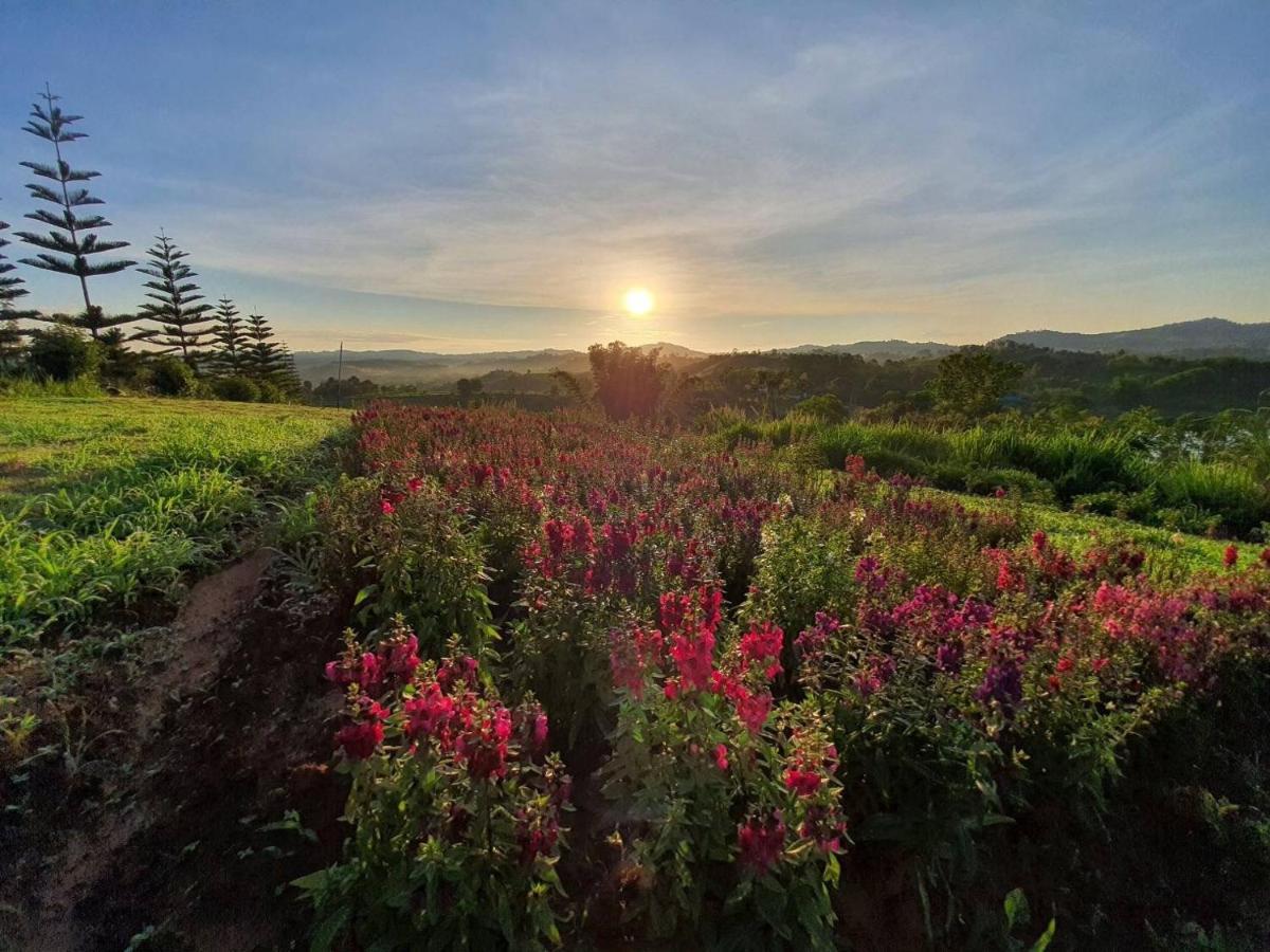 Phuyafahsai The Resort Khao Kho Bagian luar foto